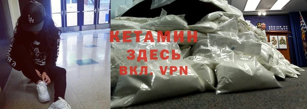дмт Инта