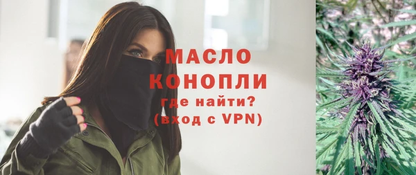 дмт Инта