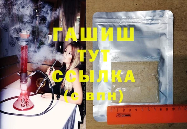 дмт Инта