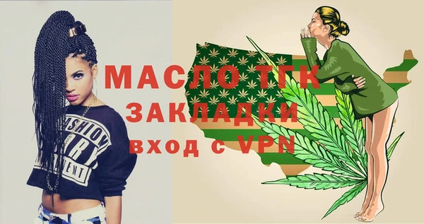 дмт Инта