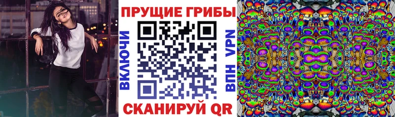 Псилоцибиновые грибы прущие грибы  Купить  Дегтярск 